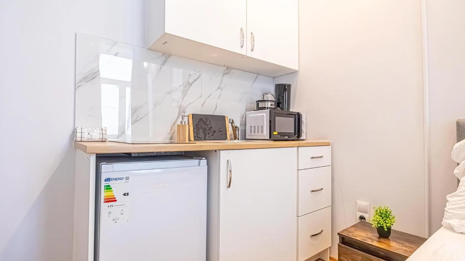 Spacious Shared Apartment Schoenbrunn Vienna Austria